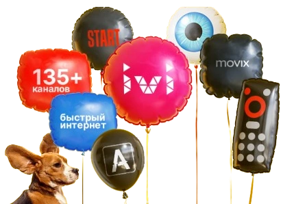 Услуги Дом.ру в посёлок Рябиновка